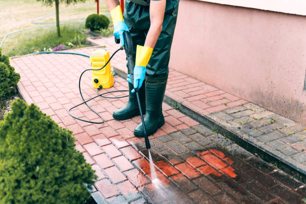 Best Fence Cleaning  in Benld, IL